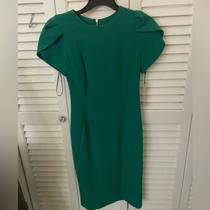 Calvin Klein Business Dress Size 2